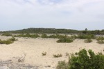 resIMG_20180613_104842_9894.JPG